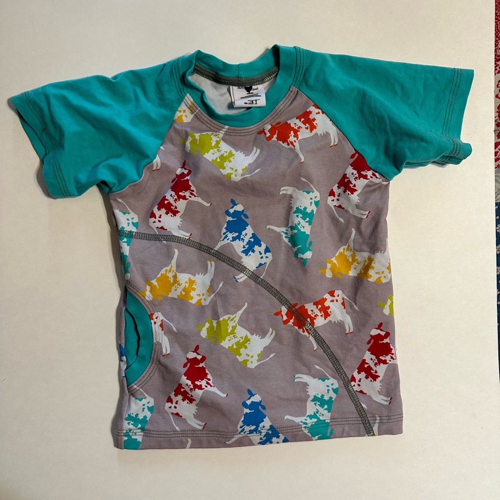 Toddler Boy Rainbow Cow Shirt